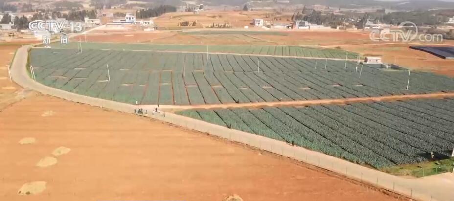用好田间每一滴水 我国农田灌溉水有效利用系数逐年提高..