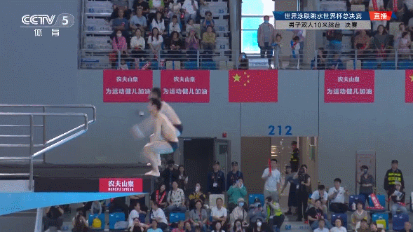 金牌+1 练俊杰/杨昊世界杯总决赛男子双人10米台夺冠